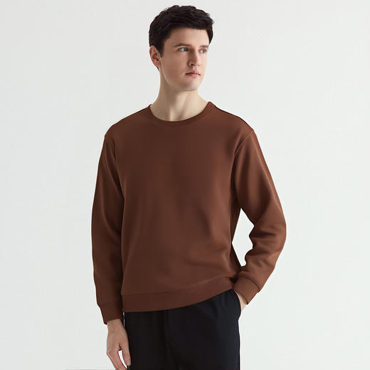 罗蒙秋冬男士加绒圆领卫衣多色可选保暖舒适百搭休闲通勤t恤男上衣 商品图8