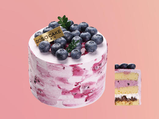 多肉蓝莓（4英寸） 商品图0