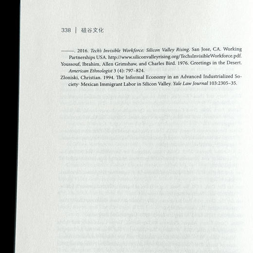 硅谷文化 英格利希·鲁埃克 薄荷实验 科技生活 商品图14