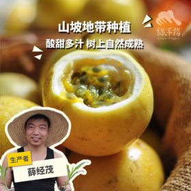 生态黄金百香果（福建） | 合作生产*  Eco-Passion fruit | Partner Production