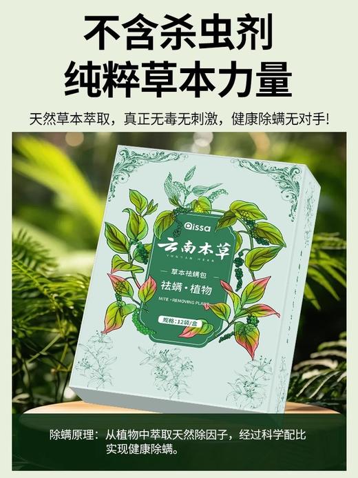 云南本草除螨包 植物草本 床上用防螨虫包 衣柜神器床垫贴去除蝻剂 12袋/盒 商品图4