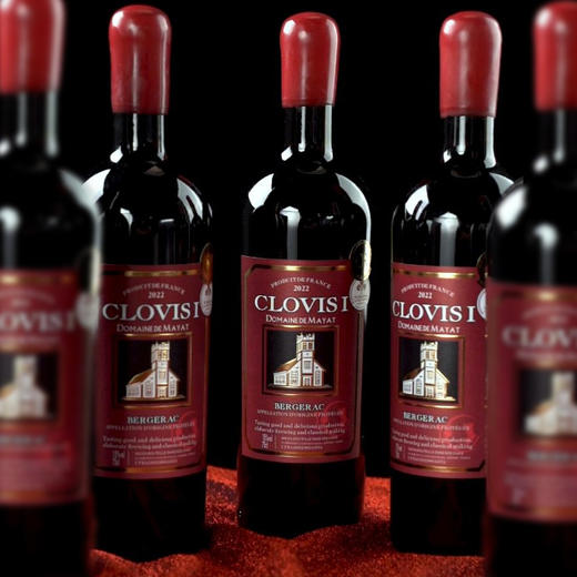 克洛维一世*城堡干红葡萄酒 750ml*1瓶 商品图1