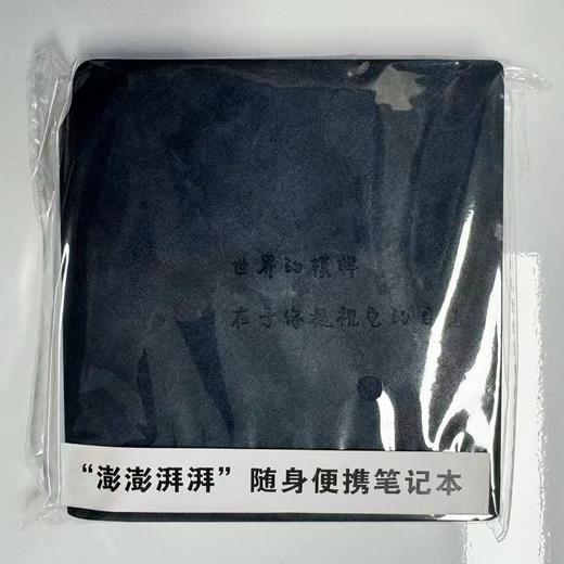 【澎澎湃湃】澎湃随身便携笔记本~迷你小巧，携带便携，自带笔插 商品图4