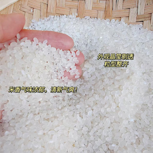 丑粮状元香吉林大米5kg 商品图4