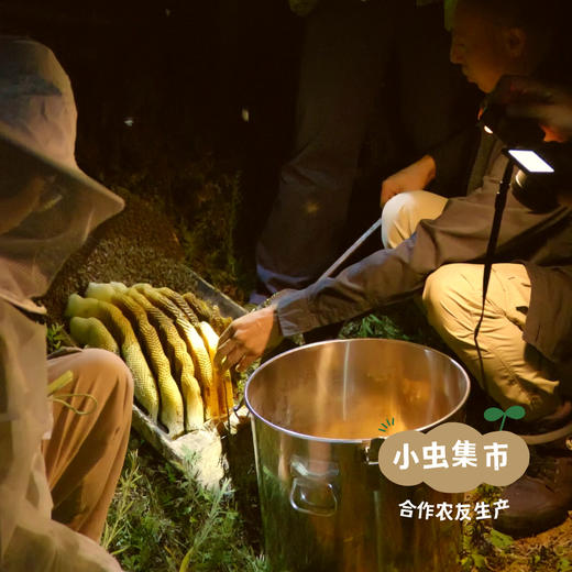 生态山茱萸蜜膏150g/罐 | 合作农友生产，产自陕西汉中秦岭，生产者：刘蜜书 *【公平贸易农人定价】 商品图7