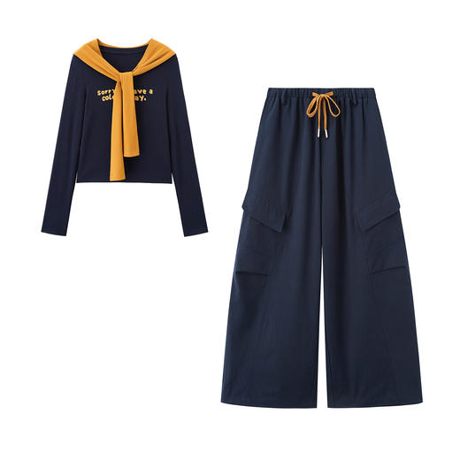 HR YJLY8602休闲时尚气质披肩套装洋气减龄宽松阔腿裤两件套 商品图4