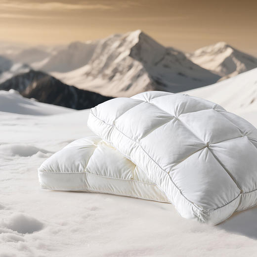 多喜爱 悦享花柔糯糯枕cs【双层填充】【轻盈蓬松】【80S防羽面料】宽大枕面 立高工艺 商品图1