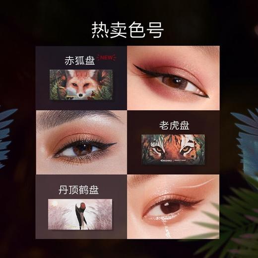 完美日记13号赤狐探险家十二色眼影 商品图2