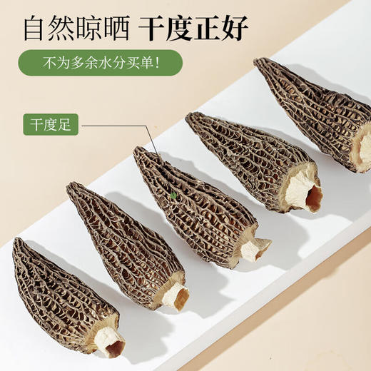 珍悉 纯羊肚菌100g礼盒菌临天下礼盒煲汤送长辈老人礼物实用送长辈 商品图5