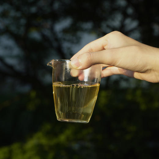 新品// 娜罕小龙珠 邦东茶 头春2025 道光贡茶 蜜香馥郁 古树生普 商品图5