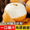 【脆甜多汁❗️山东冰糖丰水梨】现摘现发，果肉细腻，一口咬下香甜爆汁！正宗整箱新鲜梨子当季现摘水果非秋月梨山东莱阳丰水梨中秋节送礼物 商品缩略图0