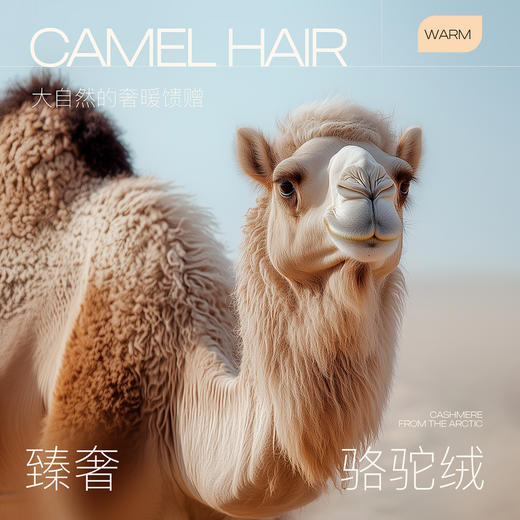 【绵羊毛】三彩2025冬季新款双面呢大衣长款毛呢外套双排扣S 商品图2