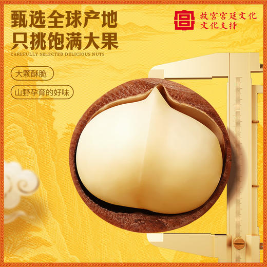 百草味坚果礼盒多款可选 干果蜜饯碧根果零食大礼包 中秋节走亲戚企业送礼 商品图1