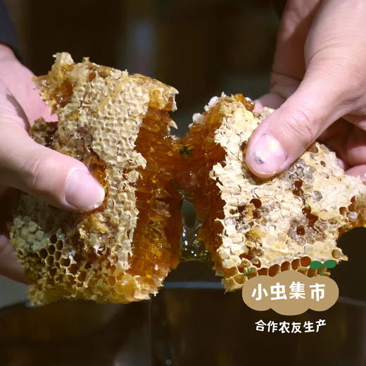 秦岭中蜂百花蜂巢蜜 200g /盒 | 合作农友生产，产自陕西秦岭，生产者：刘蜜书*【公平贸易农人定价】 商品图6