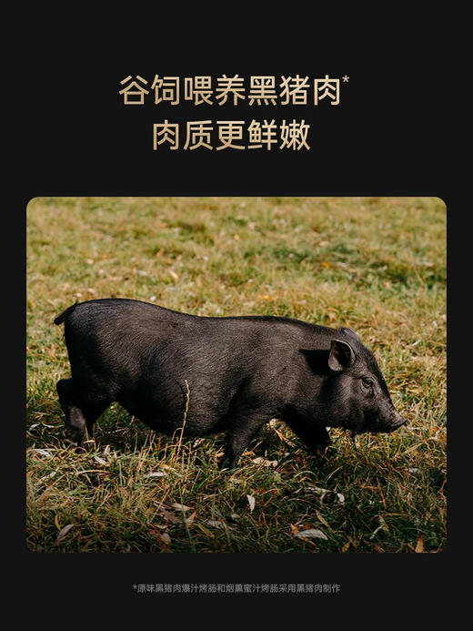 【BF】锋味派原味/黑椒黑猪肉爆汁烤肠 200g 商品图5