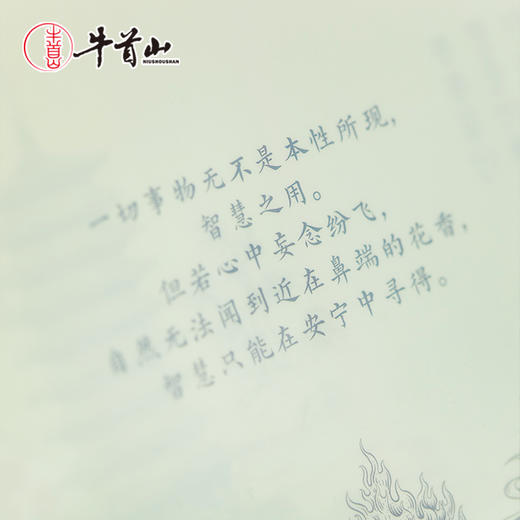 牛首山文创文心启智PP文件夹A4资料夹学生办公室单位档案个性收纳 商品图3