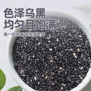硃碌科 有机熟黑芝麻1斤罐装 恒温烘炒免洗干吃芝麻馅芝麻糖芝麻糊原料  /粮油调味 /杂粮 /谷米类 商品图5