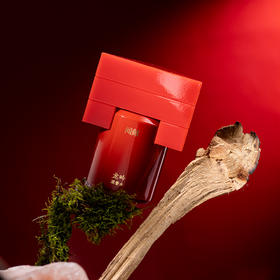 25年新香！闻献 龙吟 Documents  LÓNG  分装