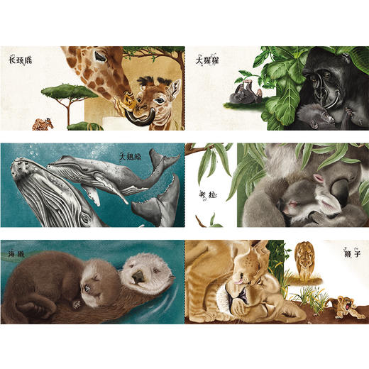 小小世界 自然的母爱 商品图1