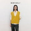 东黎 • 山羊绒女士春秋全成型V领针织马甲背心外穿 3210 商品缩略图5