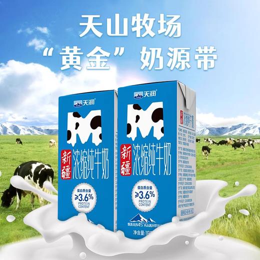 新疆天润浓缩纯牛奶180g*12 商品图0