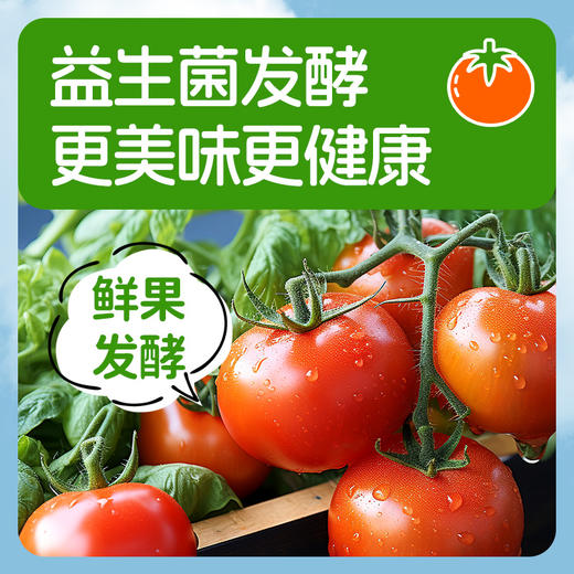 【积分兑换】江中食疗益生菌发酵番茄饮125mL*20包装 2025年8月生产 保质期12个月 商品图1