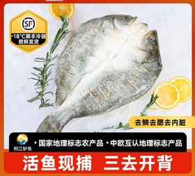 顺丰包邮｜闽威醇香海鲈鱼｜开袋即烹！ 东方甄选推荐👍地理标志福建生态鲈鱼！