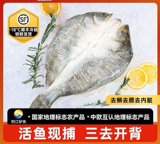 顺丰包邮｜闽威醇香海鲈鱼｜开袋即烹！ 东方甄选推荐👍地理标志福建生态鲈鱼！ 商品图0