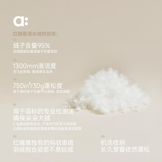 幼岚【红嘴雁】厚版轻羽绒儿童羽绒服A类防泼水蓬松保暖 商品图2