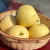 生态赵县皇冠梨  | 基地直发包邮*Ecological Crown Pear 商品缩略图2