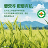 【新品上市】荷兰乳牛有机燕麦片880g桶  25年8月产 商品缩略图5