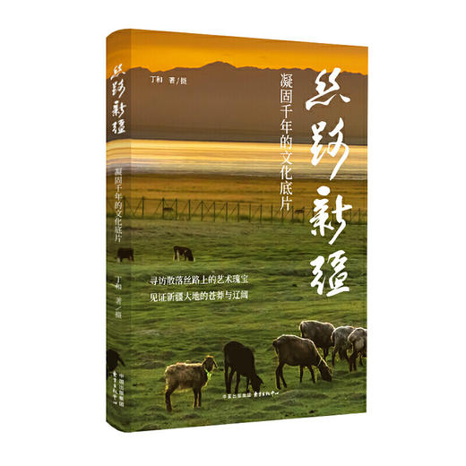 丝路新疆:凝固千年的文化底片 商品图1