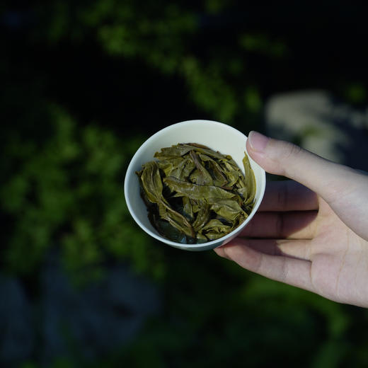 收藏级 大忠 勐库西半山 大户赛普洱生茶 兰香浓郁 仅15斤 商品图2