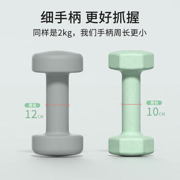 PROIRON普力艾 哑铃女家用儿童健身器材六角环保纯铁小哑铃 2KG一对装 /运动户外 /健身训练 /哑铃 商品图0