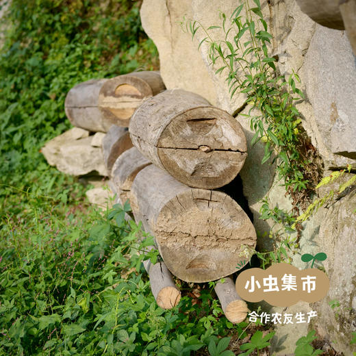 秦岭中蜂百花蜂巢蜜 200g /盒 | 合作农友生产，产自陕西秦岭，生产者：刘蜜书*【公平贸易农人定价】 商品图11