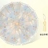 ❤️清仓雨季冲！💰39.9到手！真·铝合金！！🎀【原木伞柄16骨晴雨两用插画伞】，99%紫外线阻隔+UPF50+，0%零透光率。⁧能抗9级大风🌬️ 商品缩略图6