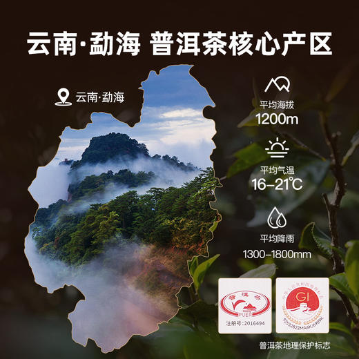 华祥庄园-280g普洱小金砖礼盒装 商品图4