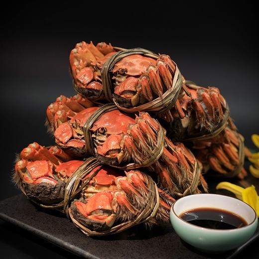 【蟹太太🦀蟹卡】来袭！💥8只🦀299元起‼‼巨划算‼礼盒包装省心又省力！送礼不二首选哦！秋天最销魂的一口已经到来，一线明星黄晓明倾情代言🏅一线老品牌，口碑保障‼ 🦀足斤足两蟹；只只精品 商品图5