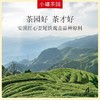 小罐茶园彩标系列清香型铁观音2.0版超高性价比自饮实惠装110g 商品缩略图8