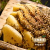秦岭中蜂百花蜂巢蜜 200g /盒 | 合作农友生产，产自陕西秦岭，生产者：刘蜜书*【公平贸易农人定价】 商品缩略图2