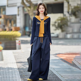 HR YJLY8602休闲时尚气质披肩套装洋气减龄宽松阔腿裤两件套