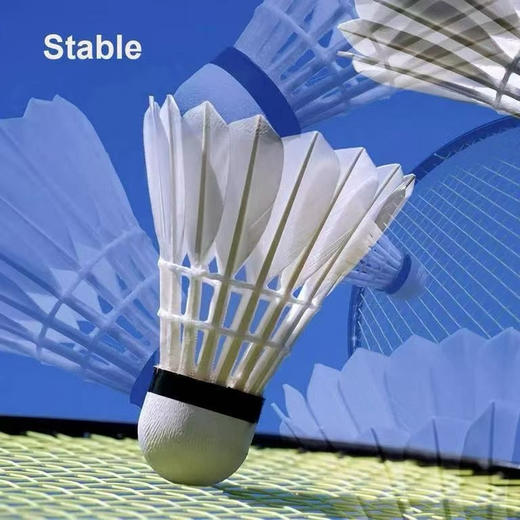 沃尔玛外贸单卖完没有仅此一批～
6只装鹅毛羽毛球，高性价比，专业快速版！ 商品图6