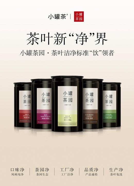 小罐茶园彩标系列清香型铁观音2.0版超高性价比自饮实惠装110g 商品图4