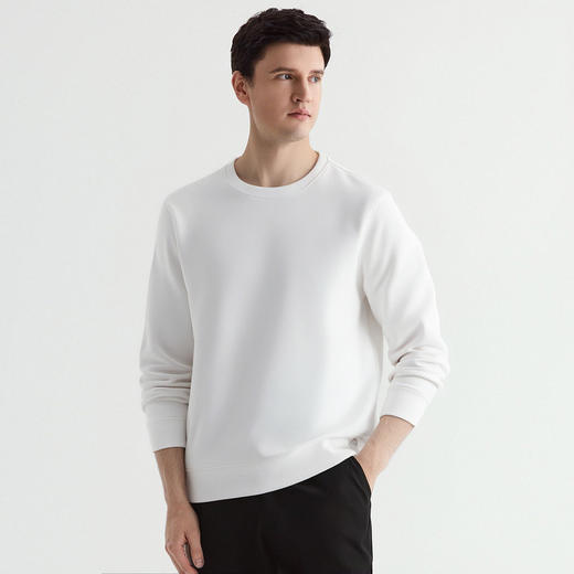罗蒙秋冬男士加绒圆领卫衣多色可选保暖舒适百搭休闲通勤t恤男上衣 商品图1