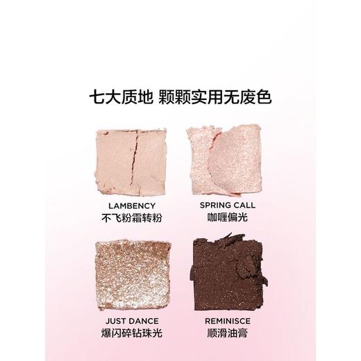 完美日记17号小猪玫瑰探险家十二色眼影 商品图2