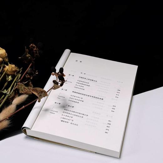 中华药商：中国和东南亚的消费文化 获列文森中国研究图书奖 商业史 中国工人出版社 商品图3