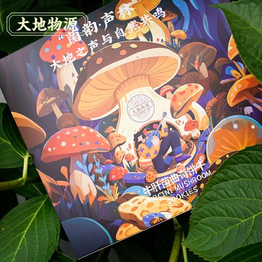 云南的礼物｜牛肝菌曲奇饼干 商品图2