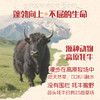 【尝鲜】天境雪域青海祁连天境雪域牧场 牦牛奶含量≥15% 200ml*3支 商品缩略图2