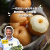 有机丰水梨 | 合作生产 *Organic hosui | Coproduction 商品缩略图0
