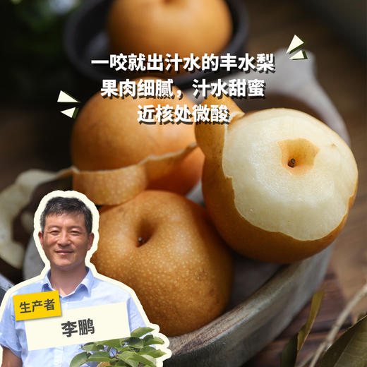 有机丰水梨 | 合作生产 *Organic hosui | Coproduction 商品图0
